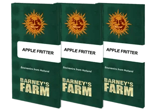 apple-fritter-cannabis-samen