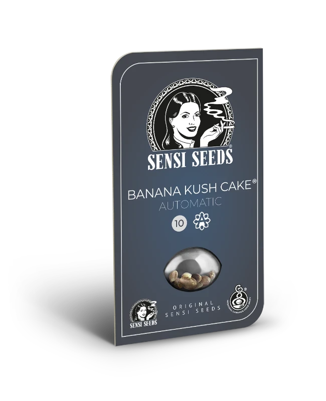 sensi-seeds-banana-kush-cake-auto