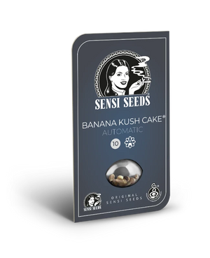 sensi-seeds-banana-kush-cake-auto