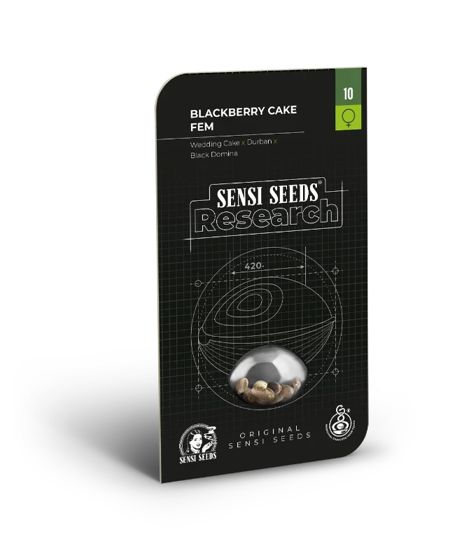 sensi-seeds-blackberry-cake