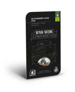 sensi-seeds-blackberry-cake