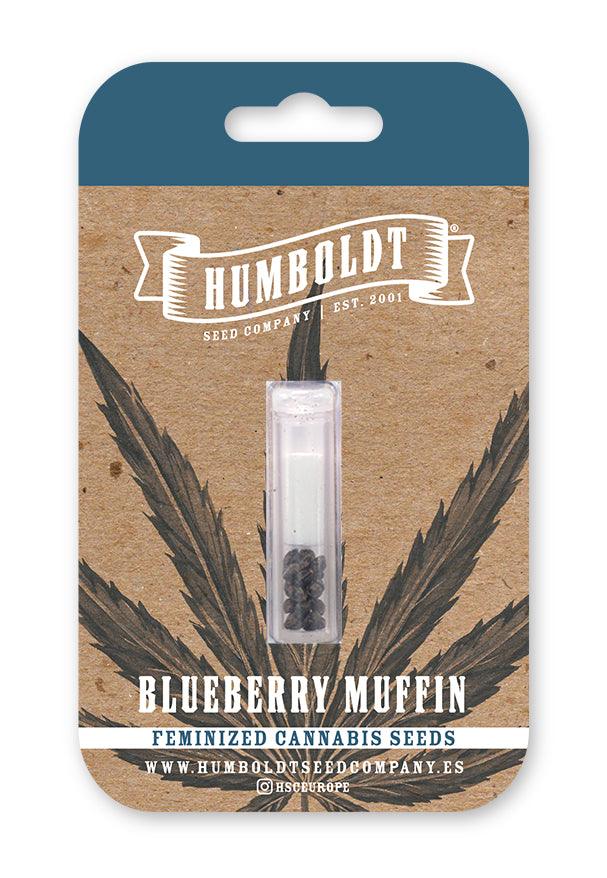 blueberry-muffin-humboldt-seed-company