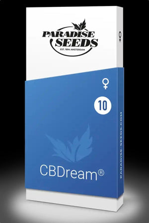 paradise-seed-cbd-dream