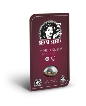 sensi-seeds-hindu-kush