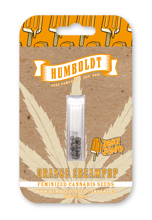 humboldt-seed-company-orange-creampop