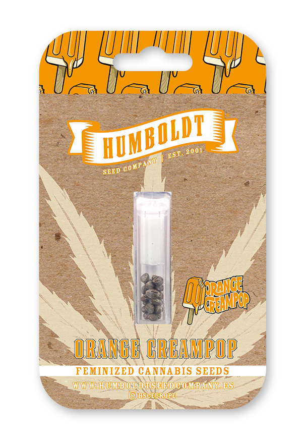 humboldt-seed-company-orange-creampop