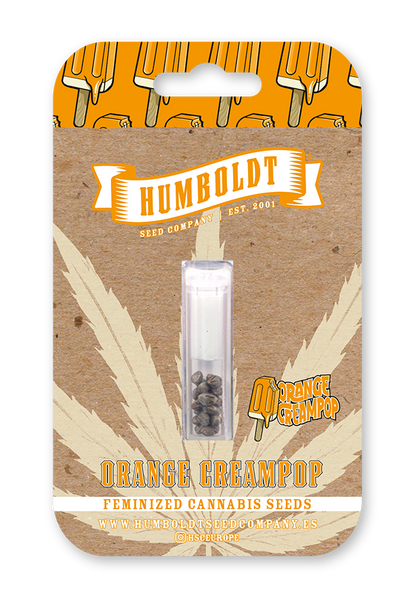 humboldt-seed-company-orange-creampop